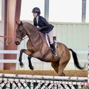 Meet your Posher, Jordan